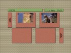 Screenshot Preview